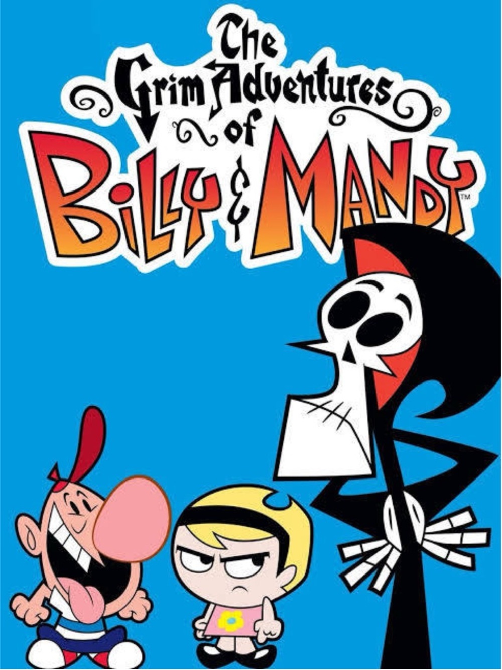 The Grim Adventures of Billy & Mandy complete series DVD Made on Demand